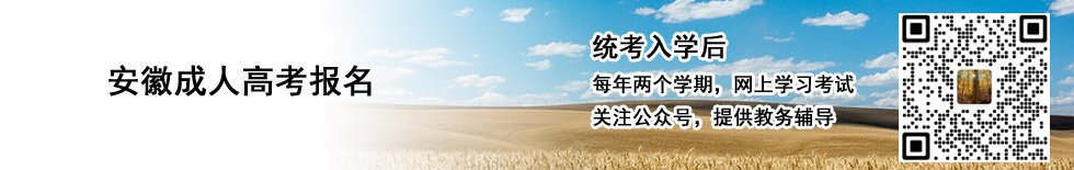 联 系 人