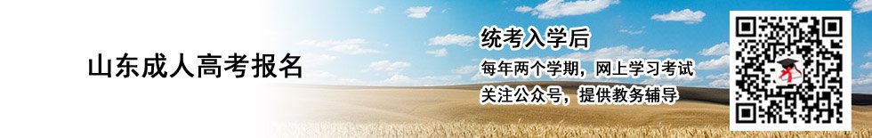 联 系 人