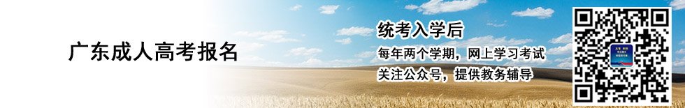 联 系 人
