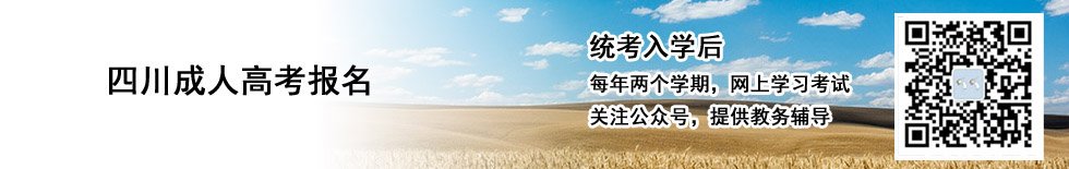 联 系 人