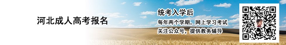 联 系 人