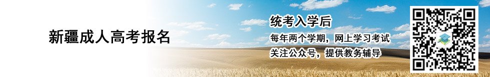 联 系 人