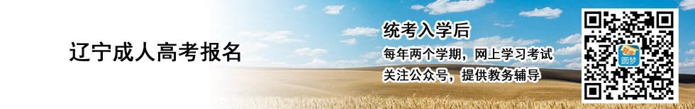 联 系 人
