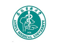 若从搜索引擎进入