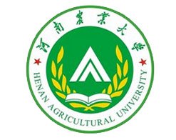 "鼎盛游戏一比亚迪股份有限公司"}]