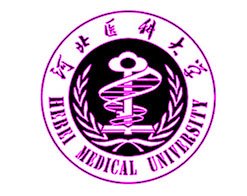点击【无犯罪记录证明】进行开具即可