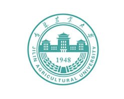 点击【公安一网通办】进入