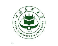 十大正规体育平台