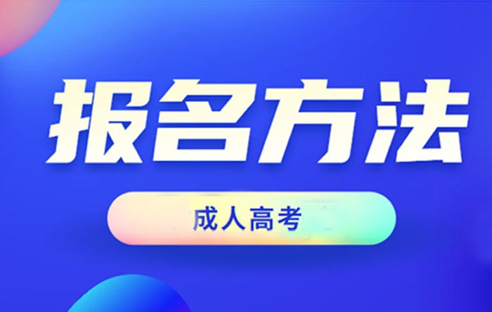 政治 英语 大学语文