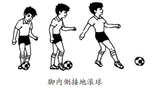 便于结合栏目动态与后续阅读